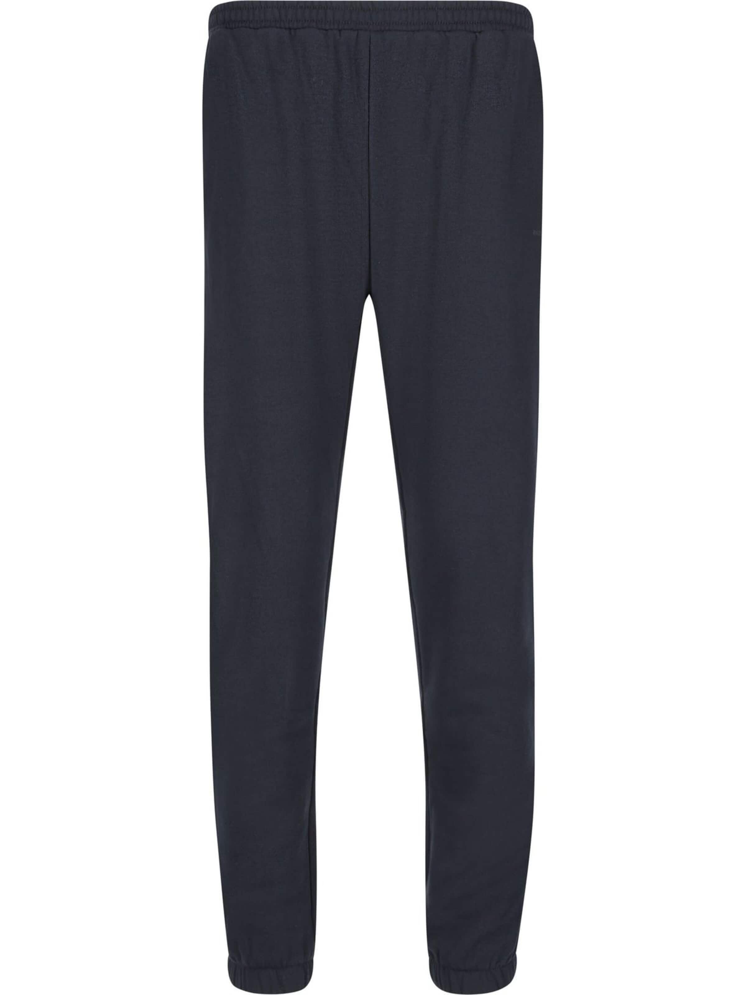 Regular Pantalon 'Arlanc' ENDURANCE en bleu : devant