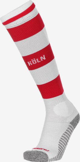 Hummel Mi-bas '1. FC Köln' en gris chiné / rouge / blanc, Vue avec produit