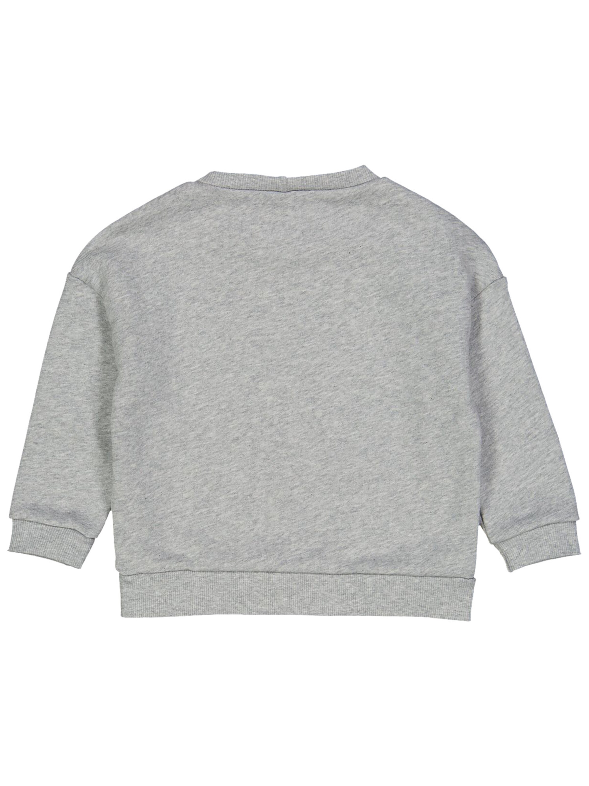 Fred's World by GREEN COTTON Sweatshirt in Grijs