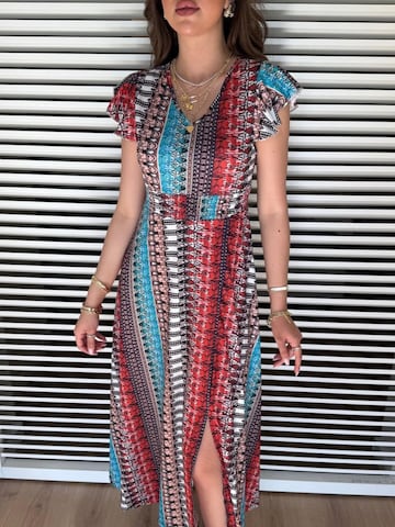 JANE's Dress in Mixed colors