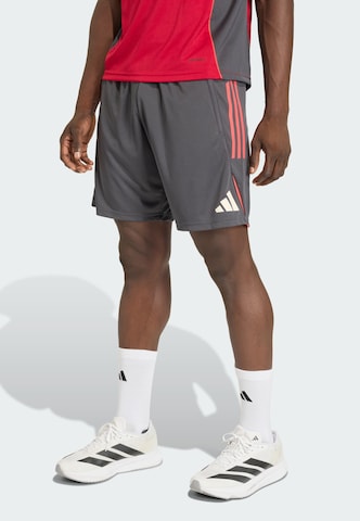 ADIDAS PERFORMANCE - regular Pantalón deportivo 'FC Liverpool Tiro 25 Competition' en gris: frente