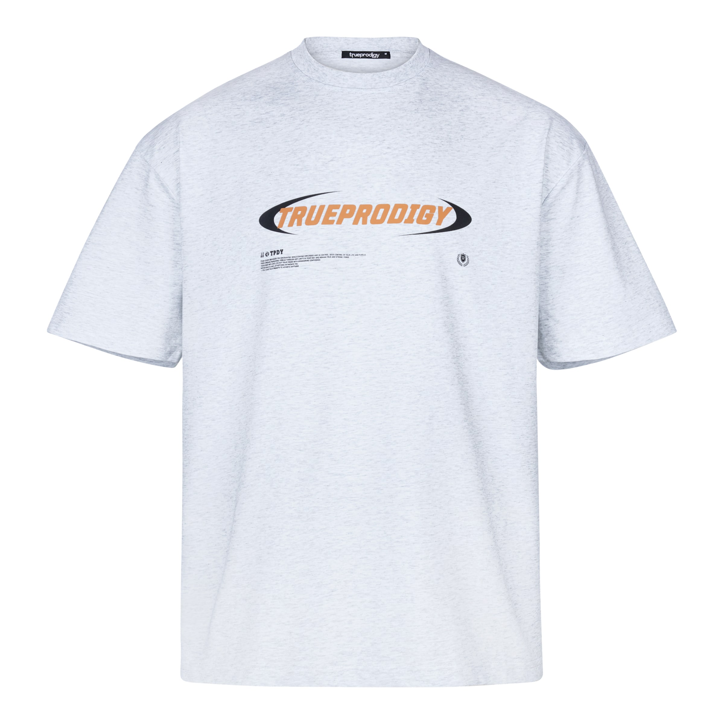 trueprodigy Tričko 'Ravi F' – šedá: přední strana