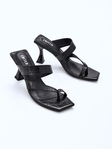 EDITED Pumps 'Konradina' in Black