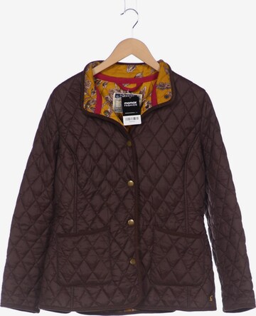 Joules Jacket & Coat in XXL in Brown: front