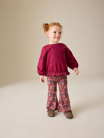 Flared Pantaloni di Next in marrone
