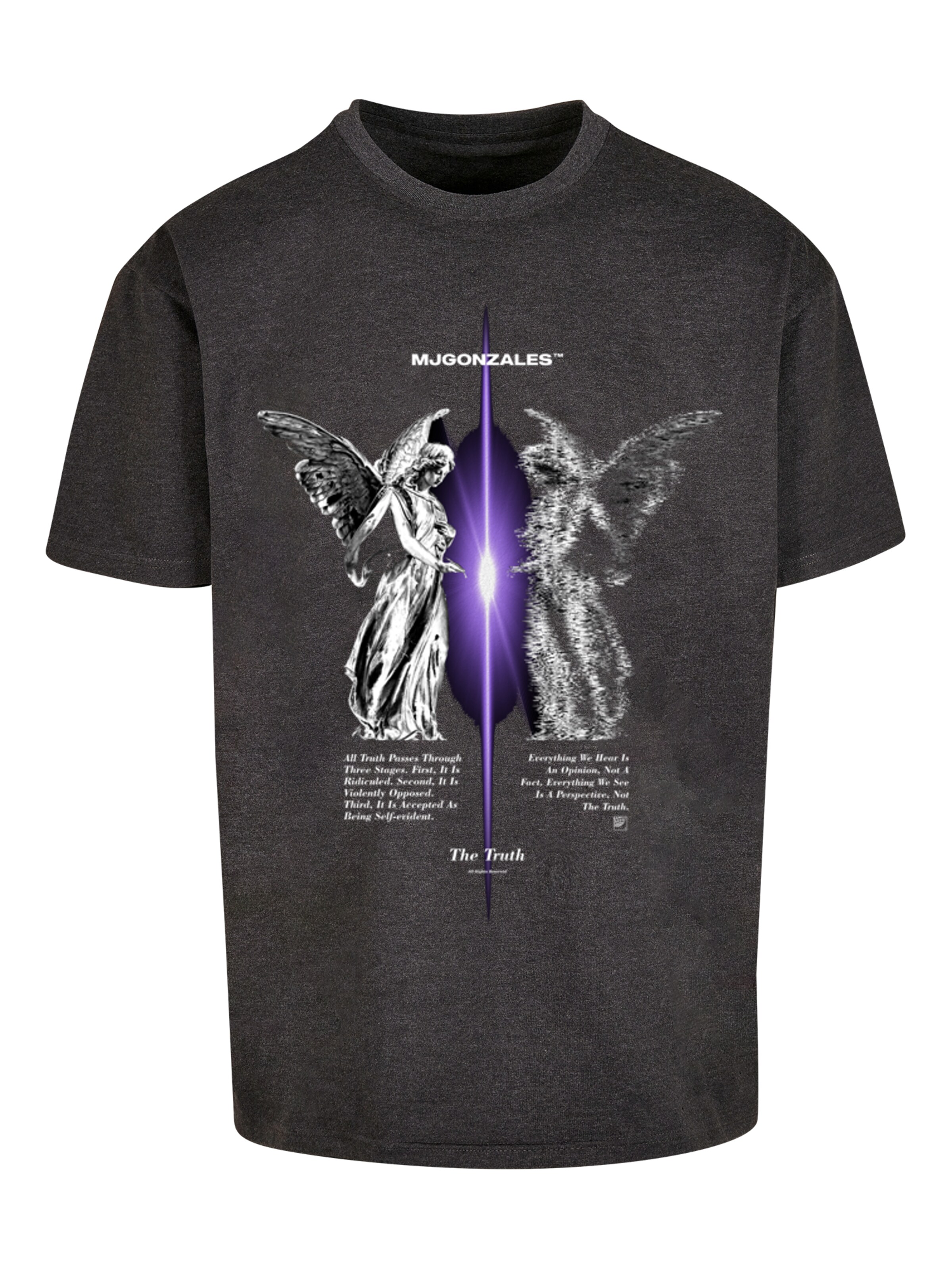 MJ Gonzales Bluser & t-shirts 'THE TRUTH' i grå: forside