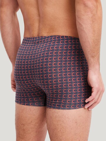 CALIDA Boxer shorts 'Grafic Cotton' in Grey