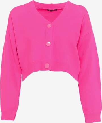 FRESHLIONS Knit Cardigan 'Aylen' in Pink: front