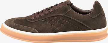 Baskets basses 'Beat' LLOYD en marron : devant