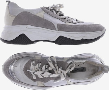 Paul Green Sneakers & Trainers in 39 in Grey: front