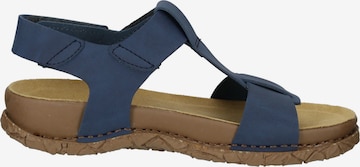 EL NATURALISTA Strap Sandals in Blue