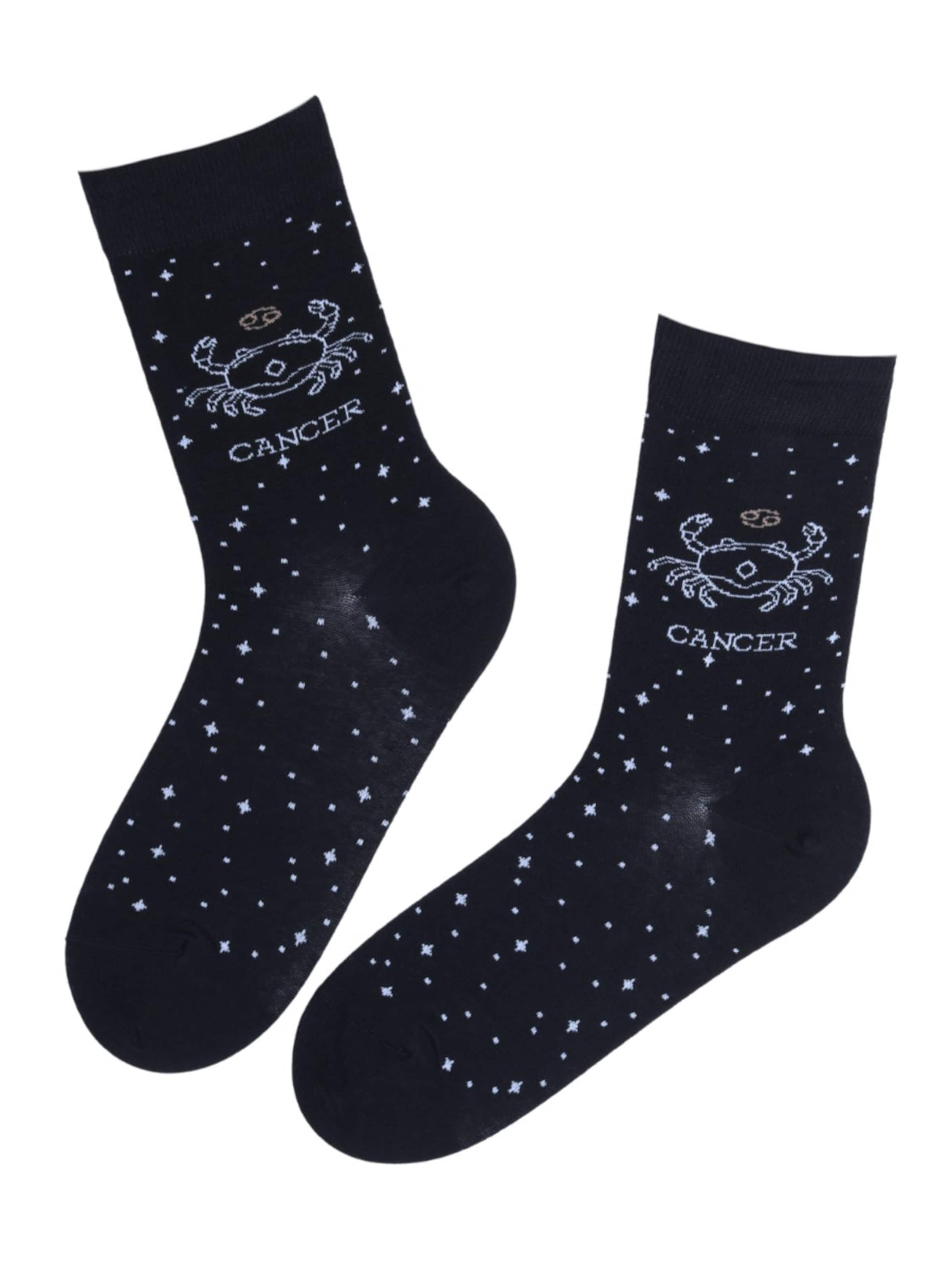 Sokisahtel Socks 'CANCER' in Mixed colours: front