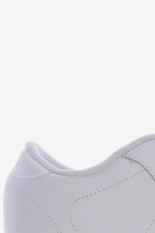 Reebok Sneaker 41 in Weiß