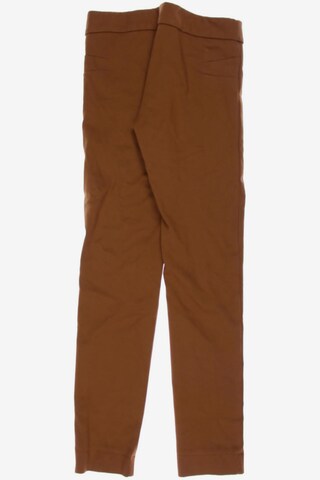ViCOLO Northland Pants in M in Brown