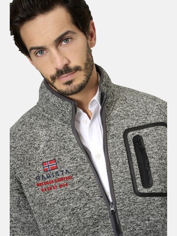 BABISTA Sweatvest ' Luciventti ' in Grijs