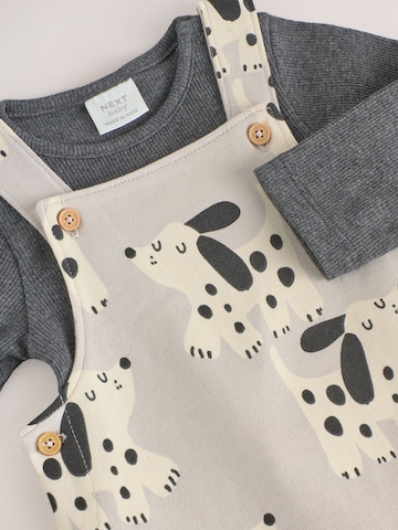 Next Set in Grey