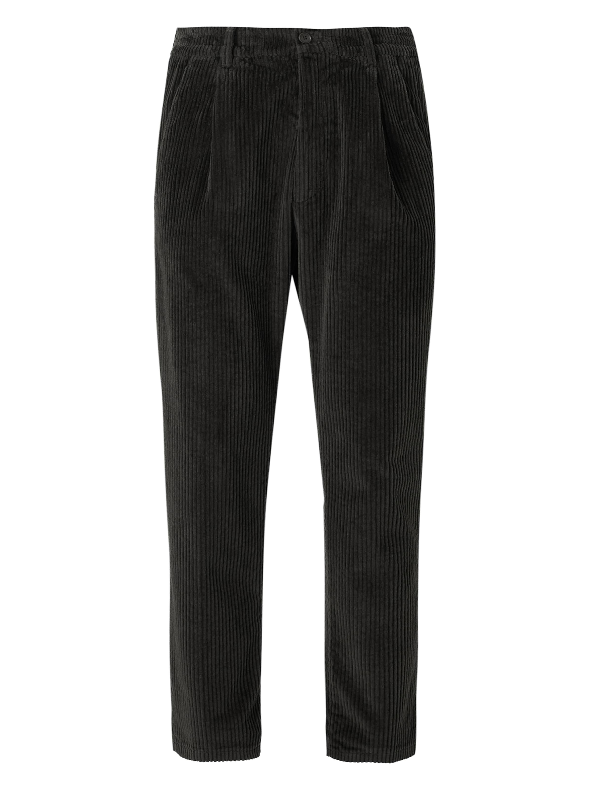 DRYKORN Regular Pleat-Front Pants 'CHASY' in Brown: front