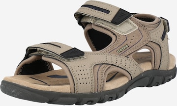 GEOX Hiking Sandals 'Strada' in Beige: front
