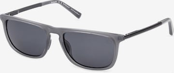 Lunettes de soleil TIMBERLAND en gris : devant