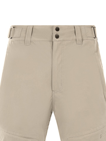 PROTEST Regular Sports trousers 'PRTKvitis' in Brown