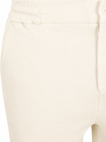Suitable Regular Hose 'Jink'‌‌‌‌‌‌‌‌‌ in Beige