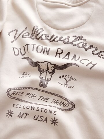 Next - Sweatshirt em cinzento