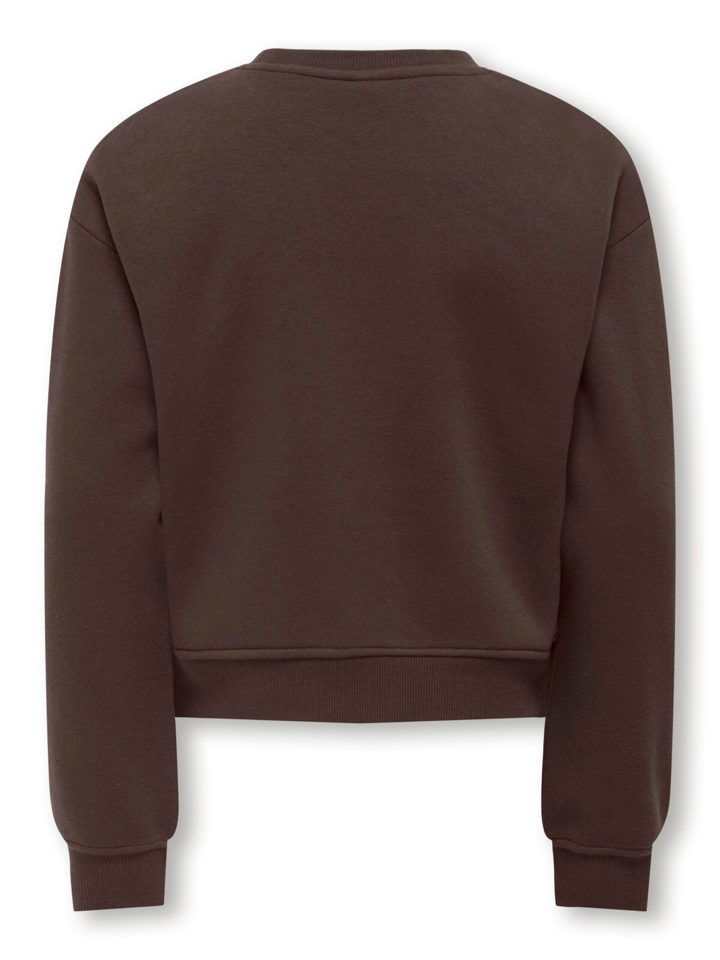 ONLY Sweatshirt in Brown