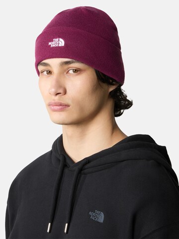 THE NORTH FACE Beanie 'NORM' in Purple