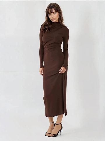 Hiccup Kleid in Braun
