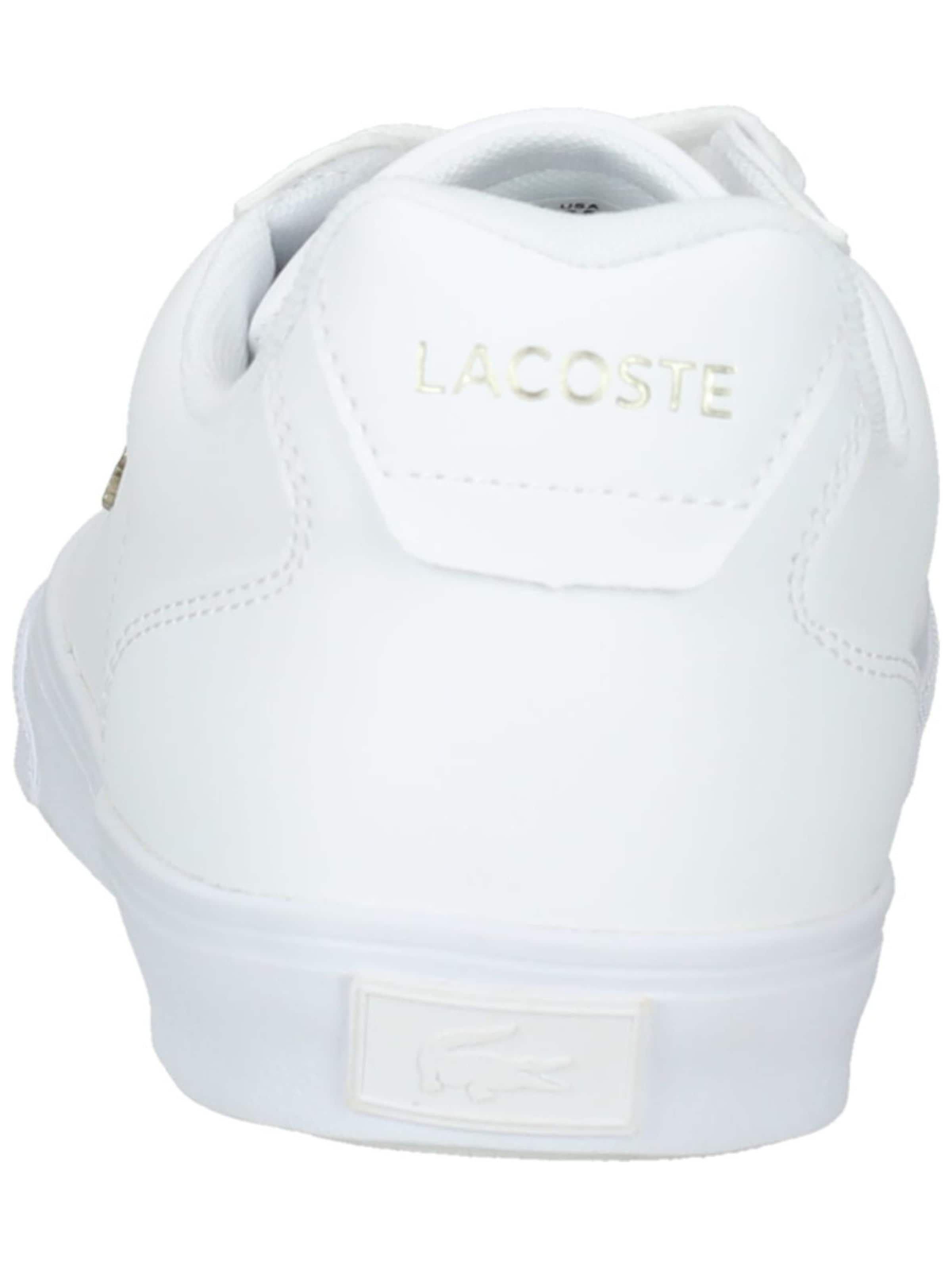 LACOSTE Shoes for men Buy online ABOUT YOU