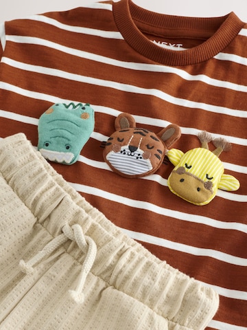 Set de la Next pe bej