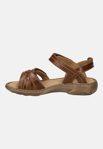 JOSEF SEIBEL Sandal 'Debra 62' in Brown