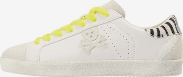 Scalpers Tennarit 'Henry' värissä beige: etupuoli