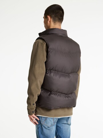 CHASIN' Vest 'Nova Burst' in Brown