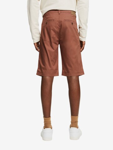 ESPRIT Regular Shorts in Braun