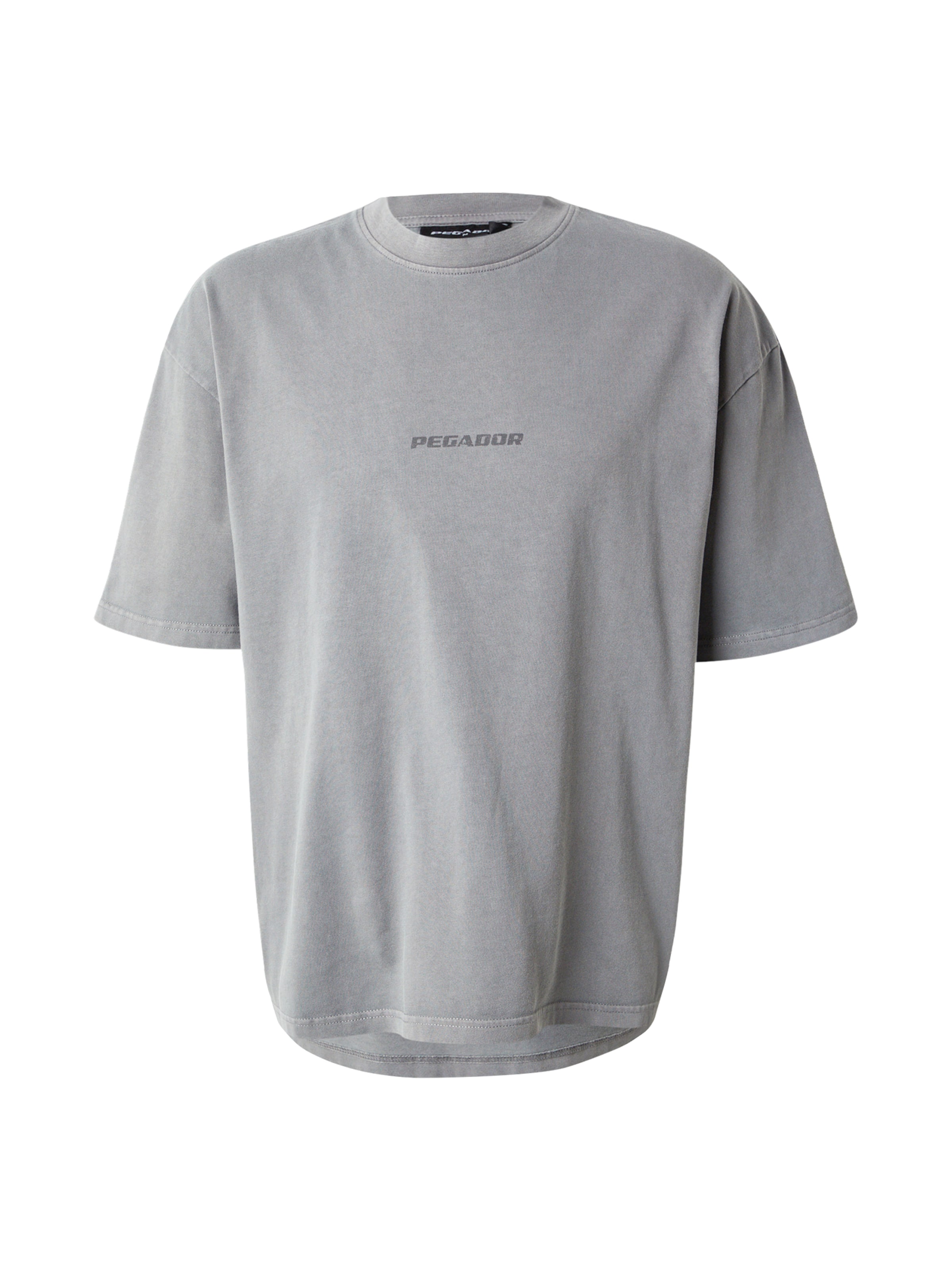 Pegador Shirt 'Colne' in Grey: front