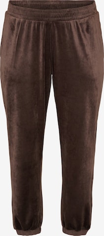 Effilé Pantalon Zizzi en marron : devant