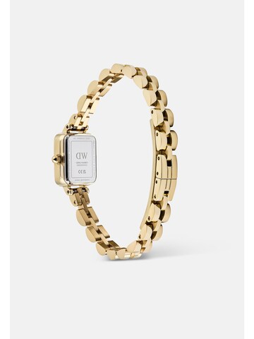 Daniel Wellington Analoguhr in Gold