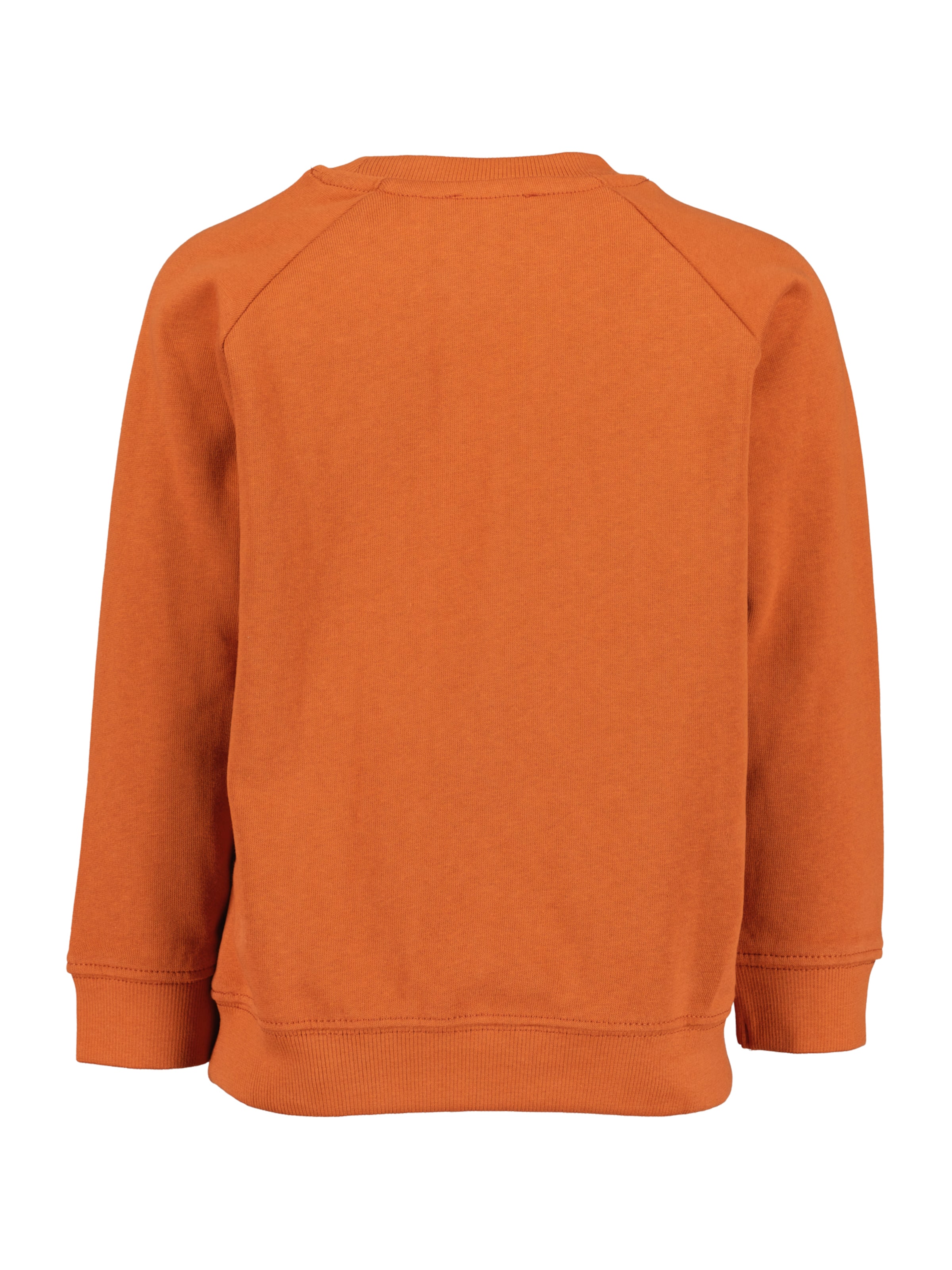 BLUE SEVEN Sweatshirt in Brown