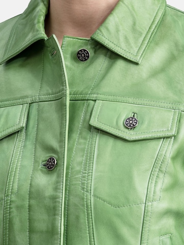 Veste mi-saison 'NEBarbados' 18N62 en vert