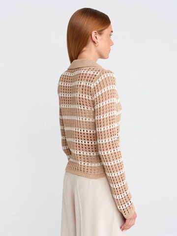DilvinPulover 'Pullover' - miks boja boja