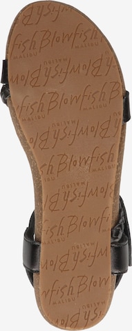 Blowfish Malibu Strap Sandals in Black