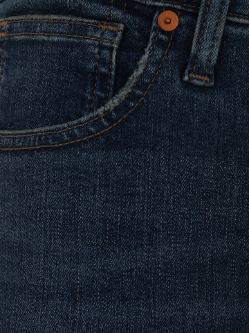 Skinny Jean Madewell en bleu