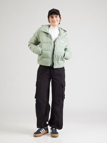 THE NORTH FACE Куртка в спортивном стиле 'HYALITE' в Зеленый