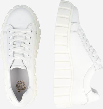 Apple of Eden Platform trainers 'Sansa' in White