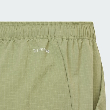 ADIDAS TERREX - Tapered Pantalón de montaña 'Xploric' en verde