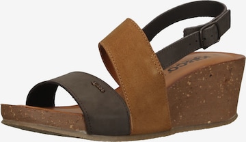 Sandales IGI&CO en marron : devant