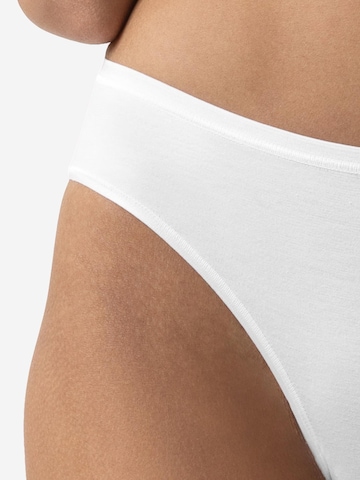Mey Panty 'Modal Pure' in Mixed colors