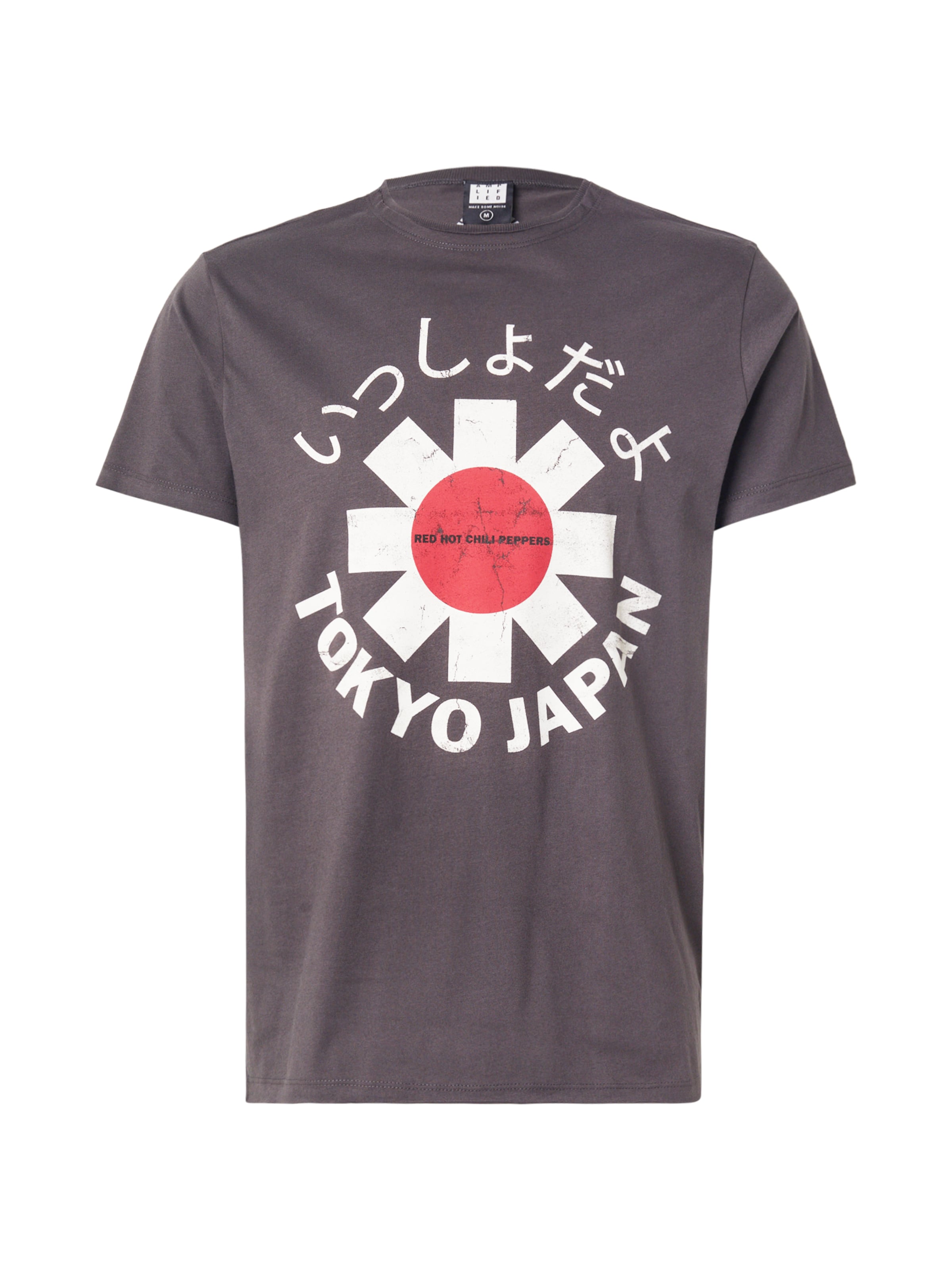 AMPLIFIED Средняя посадка Футболка 'Tokyo' в Серый: спереди