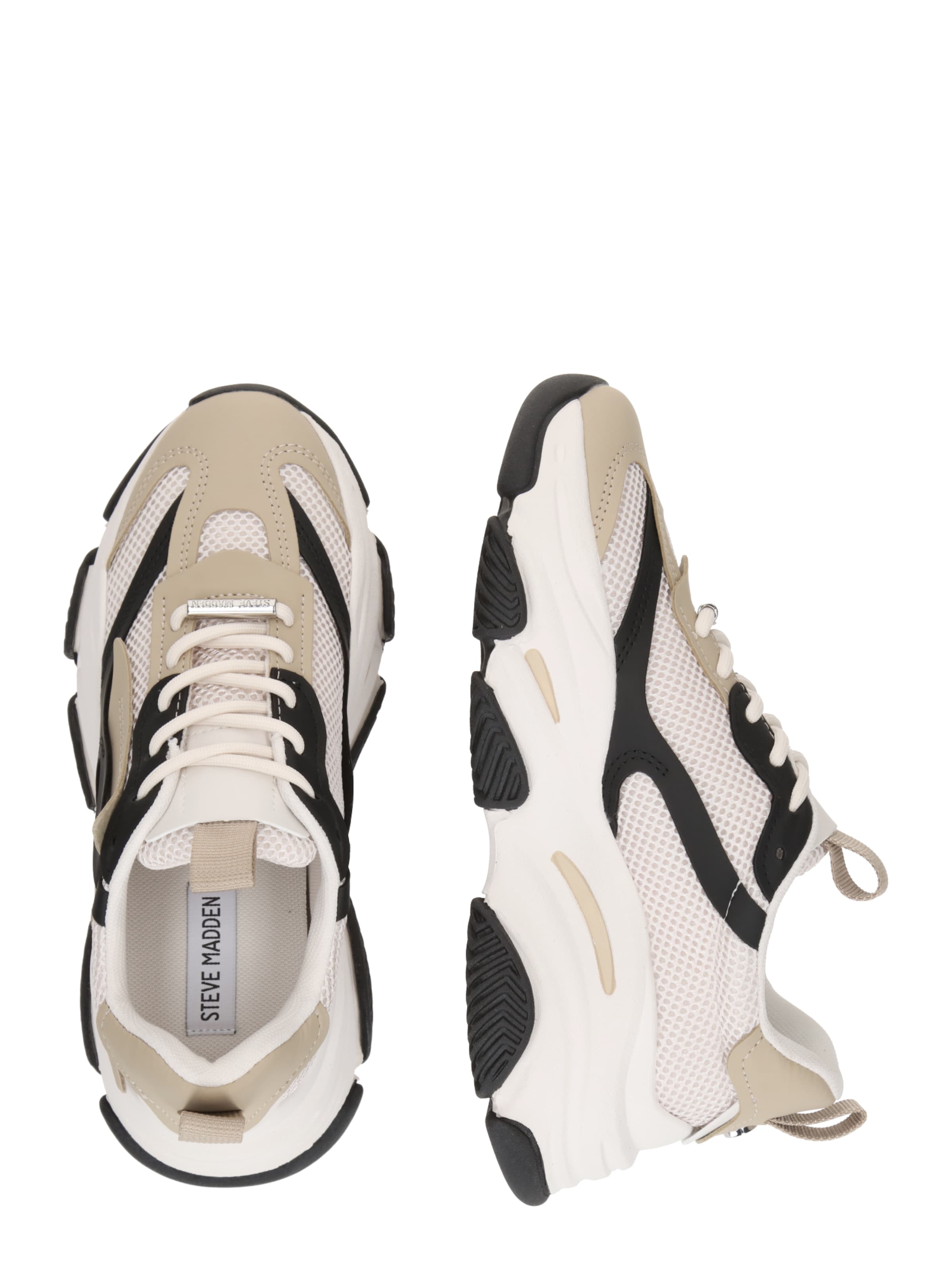 STEVE MADDEN Nizke superge 'POSSESSION' | bež barva